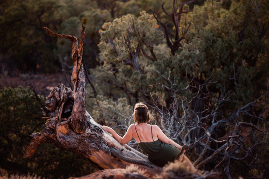 Woman Girl Female Sitting Resting on Fallen Dead Tree in Forest