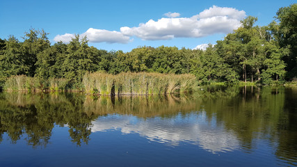 Pond in the Barnim Nature Park in Germany
