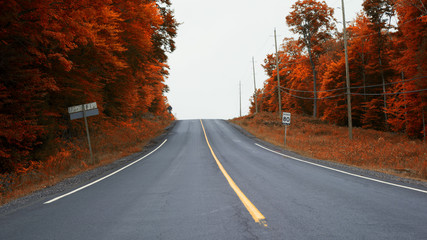 Driving on the highway and chasing the gold colours of Fall, Muskoka, Ontario, Canada. 