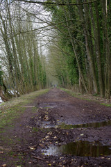 chemin au bord de la rivière Sensée a Paillencourt 