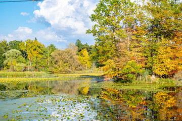 Autumn Trees on Water 2