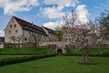 Fototapeta na wymiar Burg Rothenfels, Unterfranken, Bayern, Deutschland 