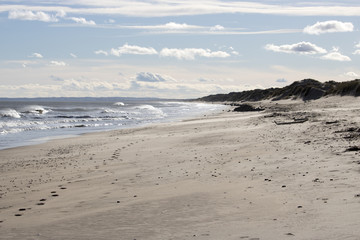 Waves crashing on Coast at Newburgh Beach
