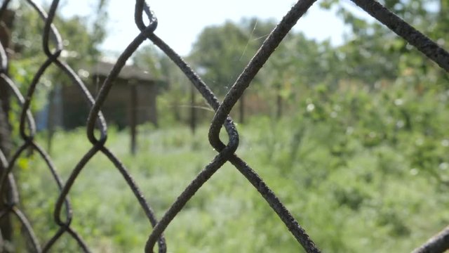 Rabitz. View of steel wire lattice fence. Macro view
