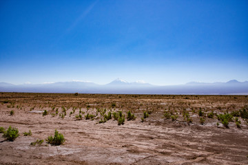 Fototapeta na wymiar Artacama desert, Chile with view of volcano on a sunny day with blue sky