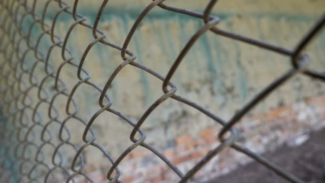 Slider shot of steel wire lattice fence. Texture.
