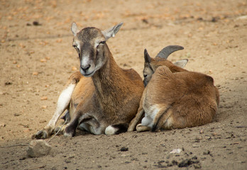 mother and baby