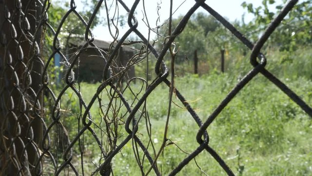 Rabitz. Old fence on background of green summer nature. Slider equipment used
