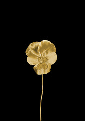 Gold flower on a black background