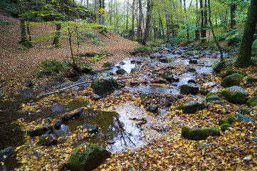 Stream flowing through the stone rocks in autumn. Natural background.