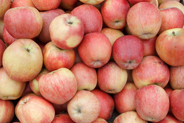 Fototapeta na wymiar A lot of apples of starking variety as backround