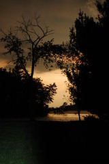 Fototapeta na wymiar dark trees and sunset