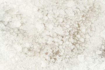Natural background of bright thawed snow. Frozen snow texture.