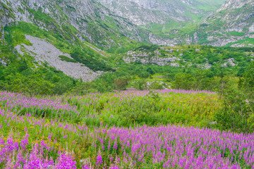 Dolina Małej Łąki