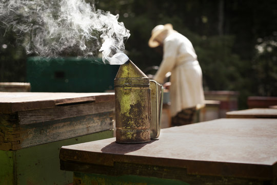 Bee smoker on beehive with beekeeper working in background