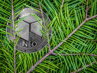 Coins of neo on the branches of spruce. Christmas crypto gift.