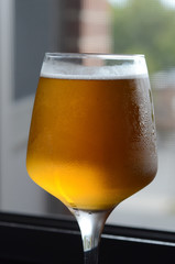 BEER GLASS ON TABLE/WINDOW