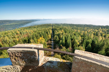 Naklejka premium Traumhafte Aussicht über den Schwarzwald bei Kaltenbronn an einem sonnigen Herbstmorgen