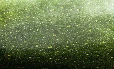 Macro view zucchini texture background. Organic violet vegetable with beautiful striped pattern