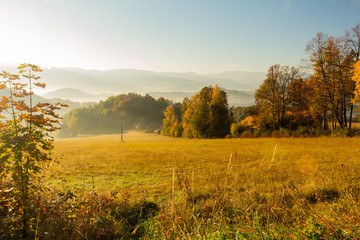Gorgeous foggy sunrise in mountains. Lovely summer landscape. Flowers on grassy meadows and forested hill in fog.