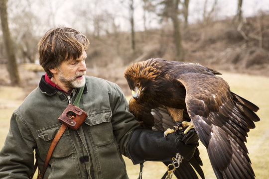 Falconer holding kestrel on hand