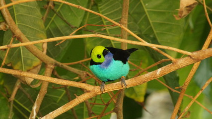 SONY DSC