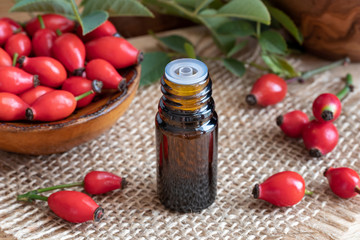 A bottle of rosehip seed oil with fresh rosehips