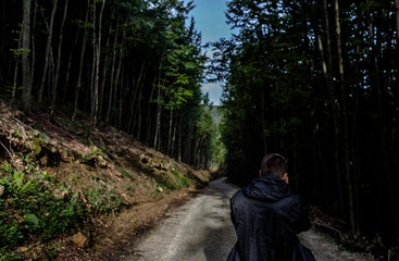 A man with black jacket standing on the forest path and shot big trees in the morning 