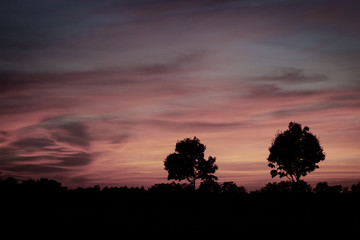 romantink sunset landscape with silhouette of trees 
