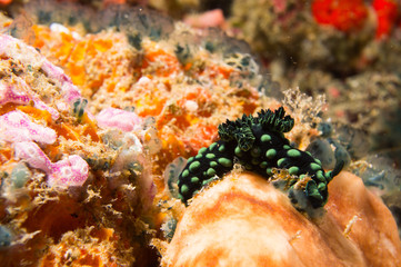 Saltando el obstaculo