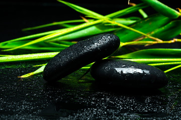 black massage stones and plants
