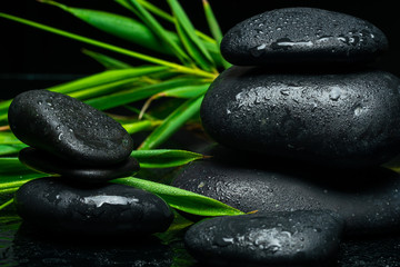 Fototapeta na wymiar black massage stones and plants 