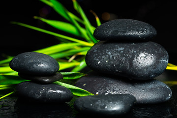 Fototapeta na wymiar black massage stones and plants 