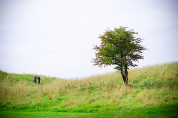 A couple walking on a landscape