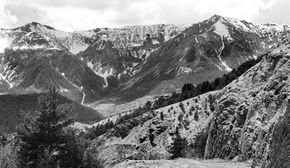 Alpine landscape in Provence-Alpes-Cote d'Azur region of France in spring. View of snow covered mountain peaks at background. Black white historic photo. - obrazy, fototapety, plakaty