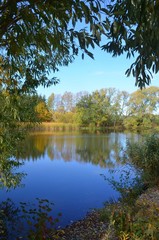 Herbstlandschaft spiegelt sich in Wasser