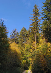 Czech countryside in autumn