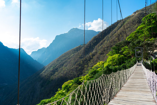Wood bridge over forest valley in Hidalgo Mexico