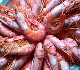 photo of sea food