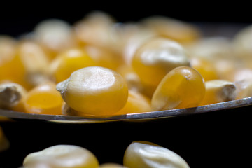 Kernels/A cluster of beautifully shiny kernels of corn in a shiny spoon.