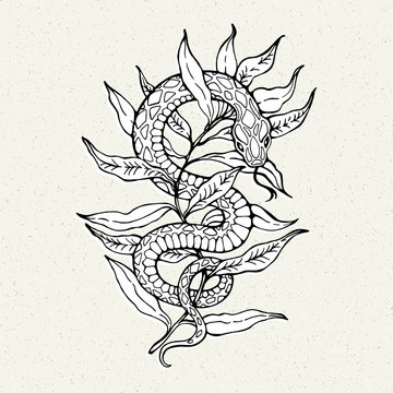 Illustration with snake on a branch. Tattoo Style