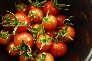 little red fresh tomatoes
