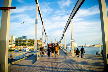 Bridge in a sunny day