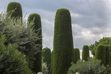 The magnificent gardens of the resort Sirmione near Lake Garda, Italy.