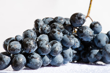 Bunch of blue grapes with water drops