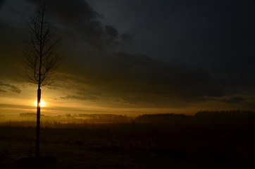 Fototapeta premium Sonnenaufgang mit Bodennebel