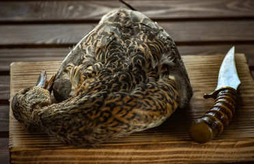 Killed duck before cooking.