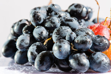 Bunch of dark blue wet grape close up