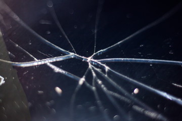 glass with cracks