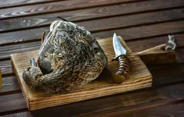 Killed duck before cooking.